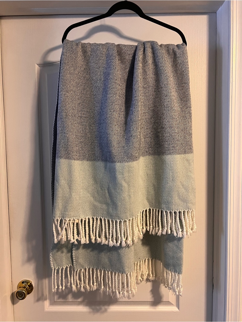 Two-Tone Fringe Bee & Willow Throw in Light Blue and Ivory